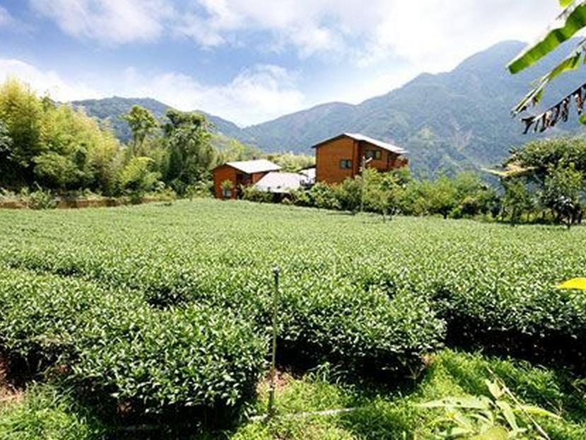 Walk Cloud Bed And Breakfast Meishan Bagian luar foto